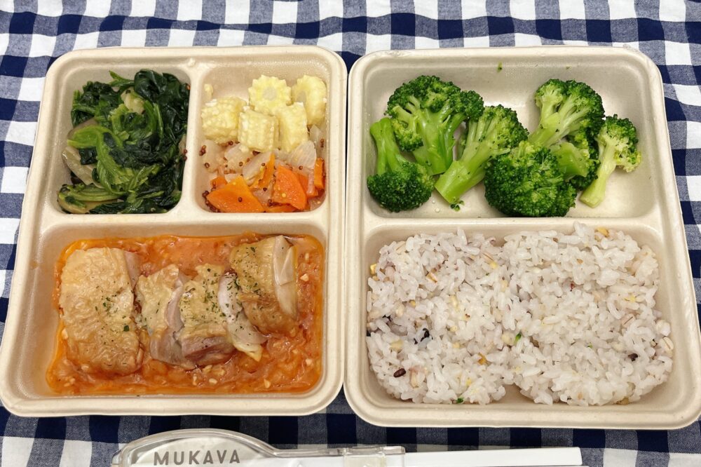 デリピックス(DELIPICKS)のお弁当