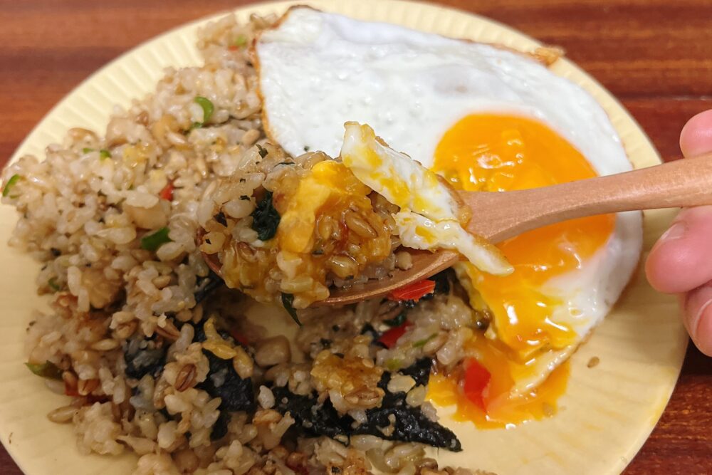 ココモグ(COCOMOGU)の実食レビュー