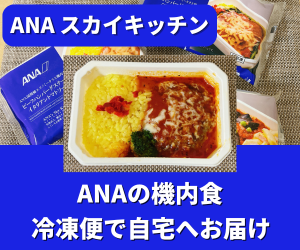 ANA機内食弁当の口コミ・評判